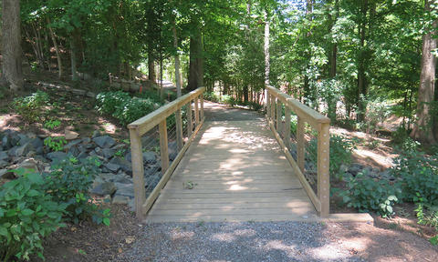 Wooden Bridges