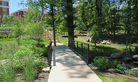 Lower Foot Bridge